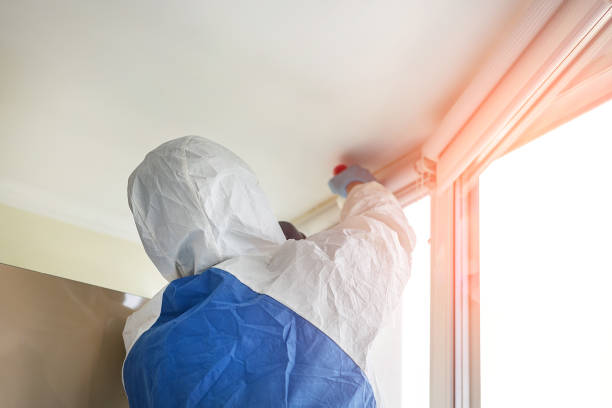 Best Commercial Mold Inspection in Pagedale, MO