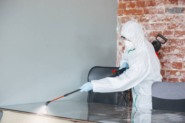 Best Residential Mold Inspection & Testing in Pagedale, MO